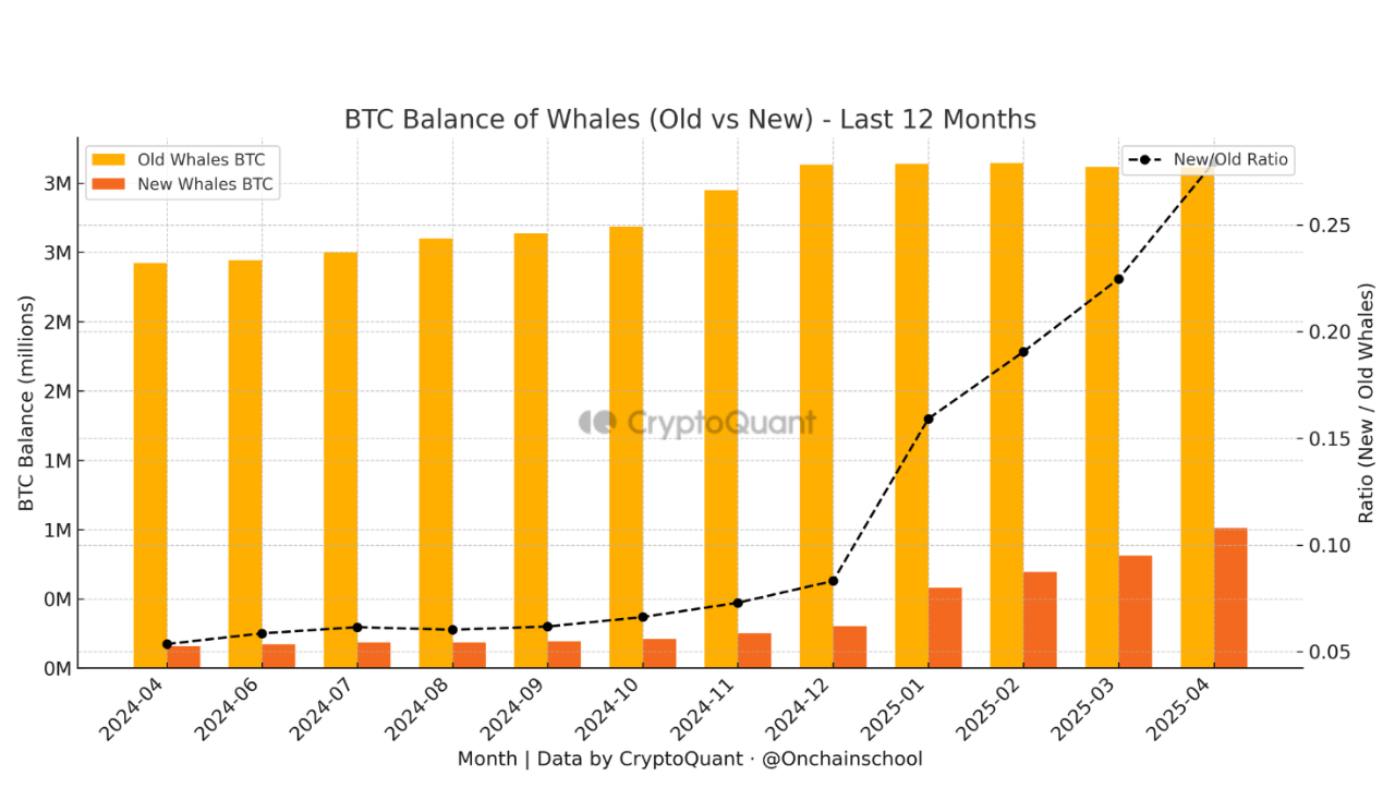 Bitcoin balance of whales.